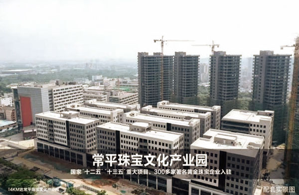 廣東威萊仕科技有限公司辦公區